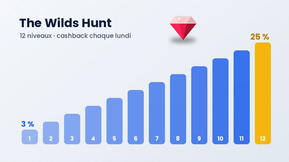 Les douze niveaux de The Wilds Hunt, de 3 à 25 pour cent